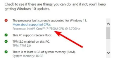 Requerimientos Windows 11
